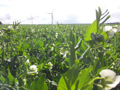 Ook veel 'gangbare' belangstelling voor oriëntatiecursus biologische landbouw <a href="/dlvplant/">dlvplant</a>
biojournaal.nl/artikel/20835/…