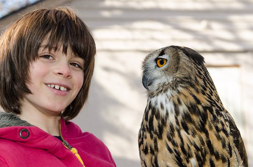 Bubothebird's tweet photo. Hi @PARKERPOSEYorg ! We met a few years ago in SLC. We talked about collaborating to inspire kids to love nature! https://t.co/emR41mcVBB
