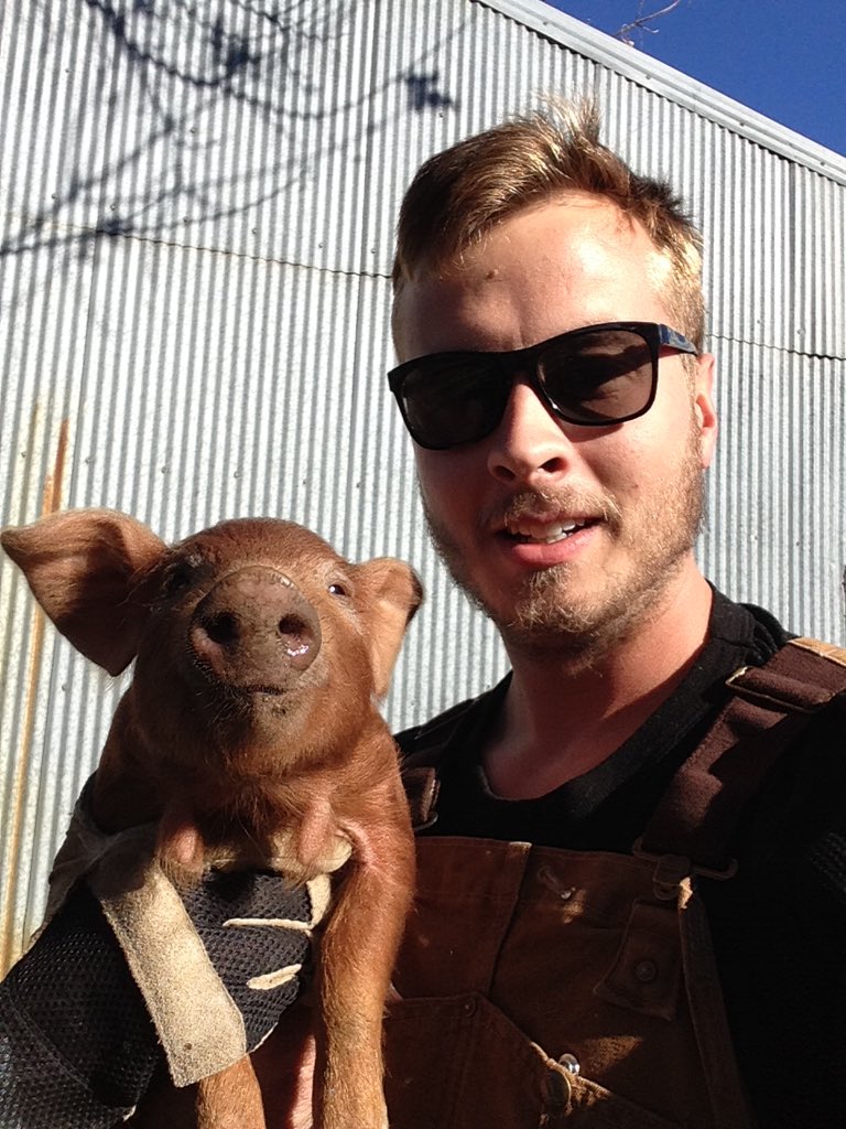HallstromFarms's tweet photo. I don't always take selfies but when I do, it's with a tiny piglet 🐷 https://t.co/1fsJSyY7VI