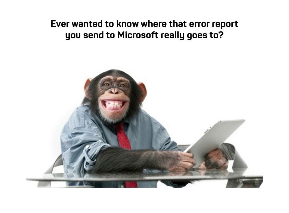 timbowhelan's tweet photo. Error reports! 😂😜 @boldmonkeyIRL #Microsoft #monkey #jokes #joke #timehelanphoto #computers #errorreport https://t.co/XW6gaN8IJH