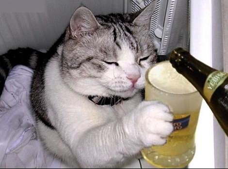 _CrazyCue's tweet photo. @mmateva svp un petit verre pour patienter #BrusselsLockdown https://t.co/w80SHLQLKI