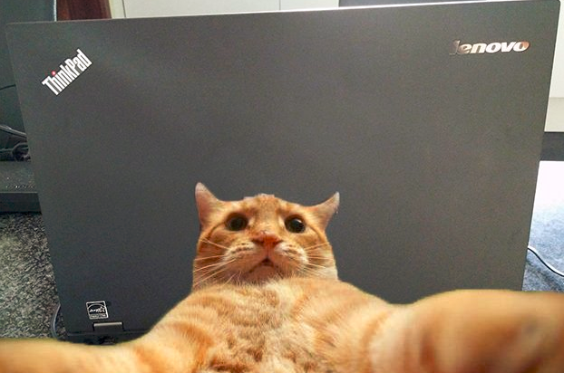 LenovoLatam's tweet photo. ¡#ThinkSelfie para este #FelizLunes! https://t.co/N0CmG6CZgN