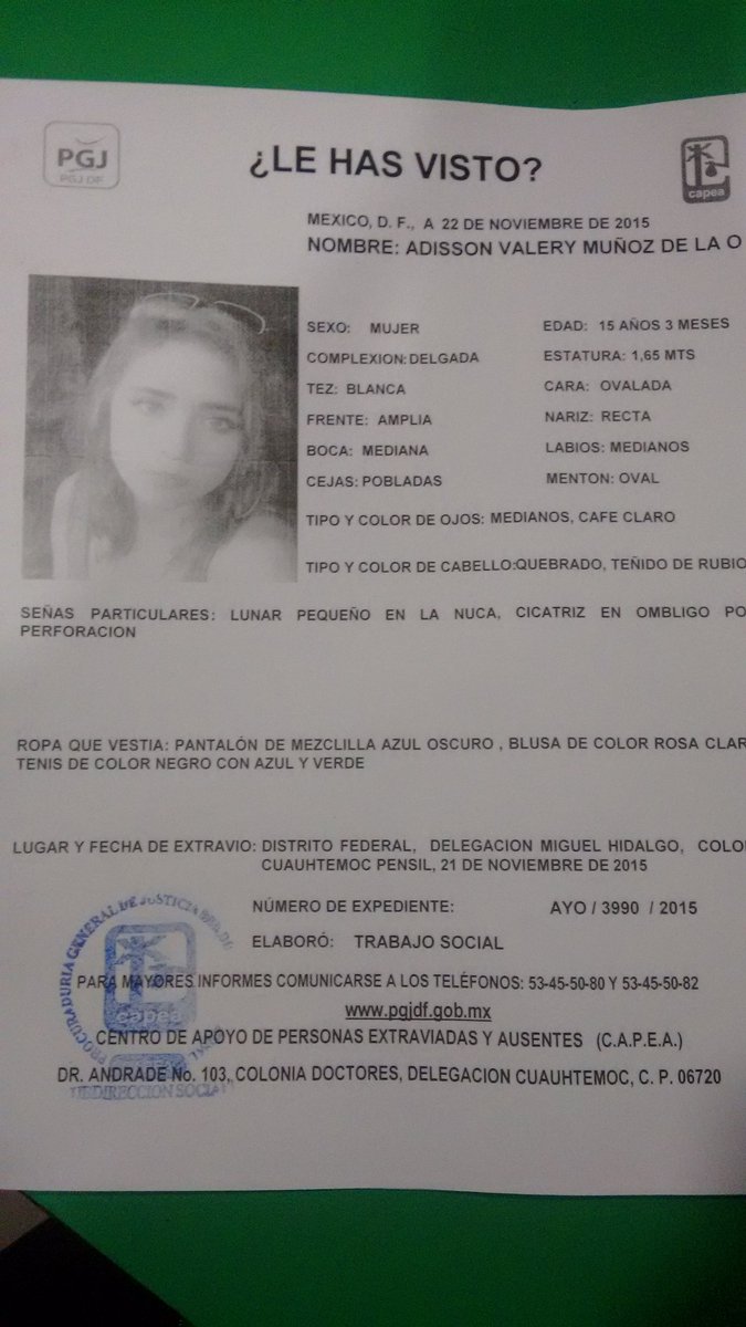 jlql1's tweet photo. @brozoxmiswebs es mi hija puedes RT te lo agradezco de antemano https://t.co/vLlkEXXuRg
