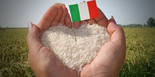 M5S_Camera's tweet photo. Made in Italy, Salviamo il riso italiano!  https://t.co/LrL4v63mbB #M5S https://t.co/hhYDJ1Bmfv