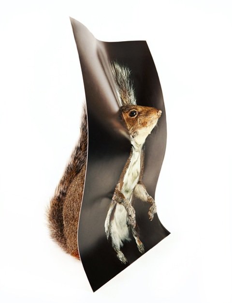 Anne_Williams_'s tweet photo. LCC MA Photography Final Show - ends 24 November - https://t.co/I5b59avJ28 https://t.co/8RSrxYs6kT