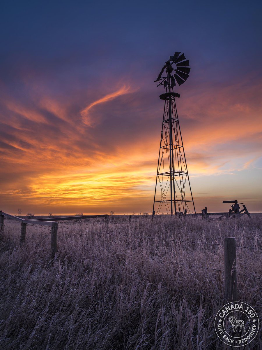 canada2017's tweet photo. Sunrise on the prairie. Langdon, AB #Canada150 #GiveBack https://t.co/Uxbonv88Ii