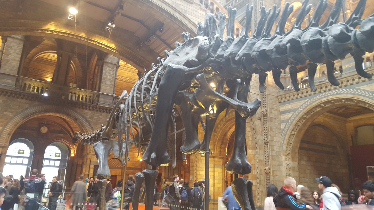 SmallHeathArt's tweet photo. @SmallHeathSch Year 7 had a fantastic day at @NHM_London exploring colours, patterns and textures found in nature. https://t.co/sEvdfIGxaZ
