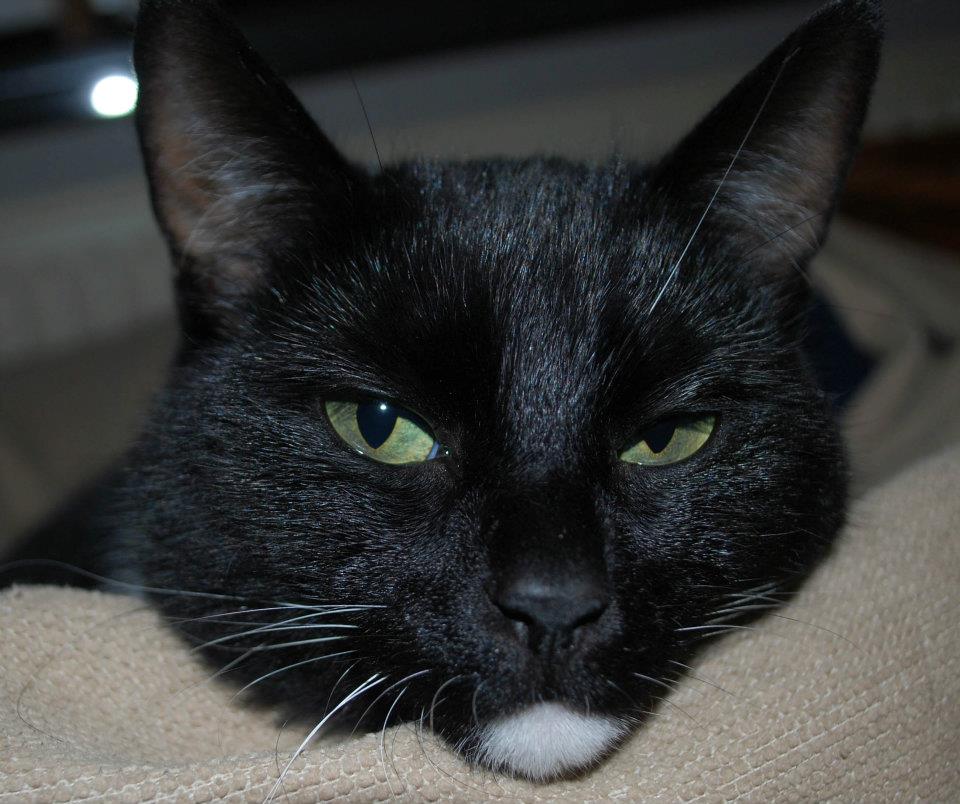 annick1967's tweet photo. #BrusselsLockdown https://t.co/81Gpg1y8a5