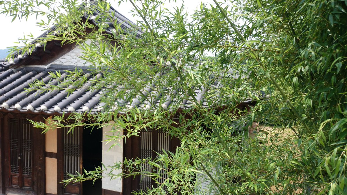 牙山 牙山