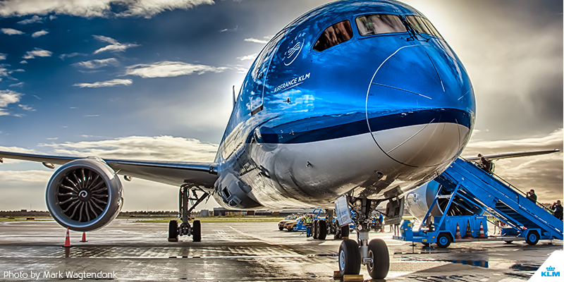 KLM's tweet photo. She is shining, she is smiling, she is our Sunflower https://t.co/w9JUn6bMbJ