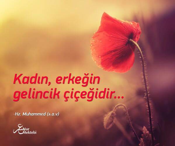 M.Reşid Kostakoğlu (@mresidkostak) on Twitter photo 