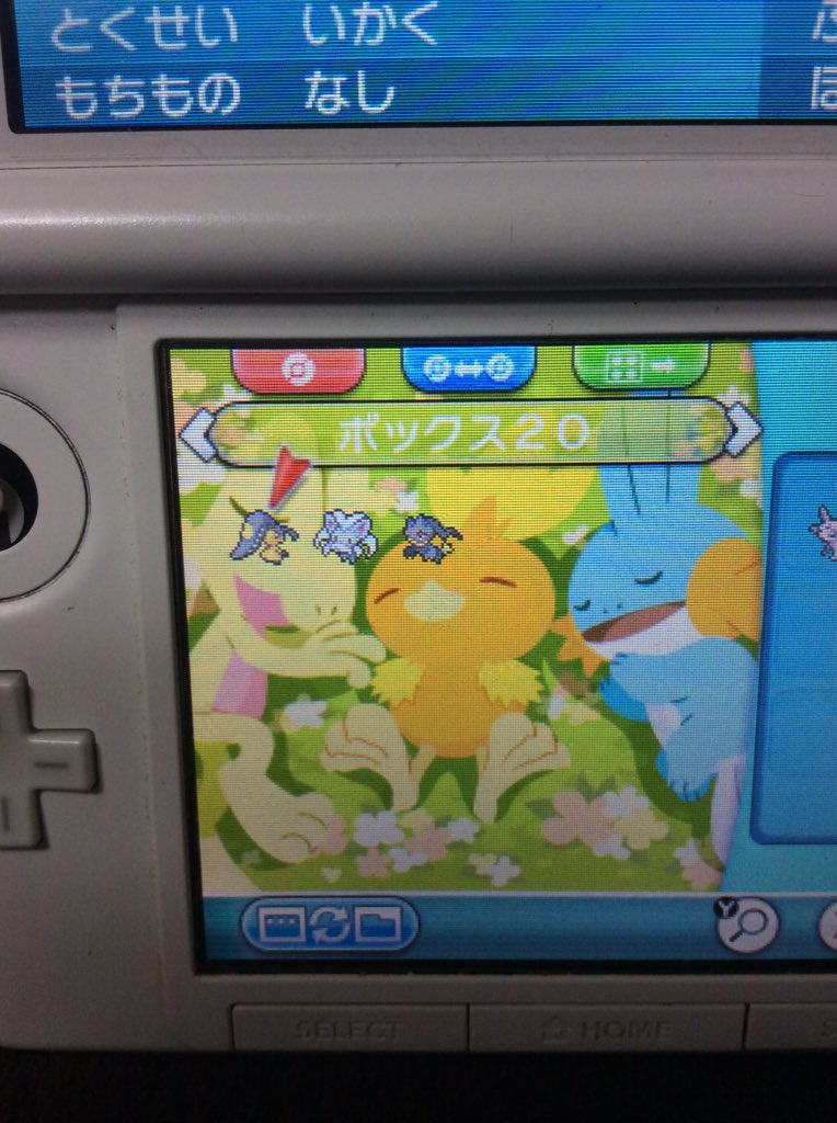 ナスコ 色リオル厳選 Pokemon Ktr Twitter