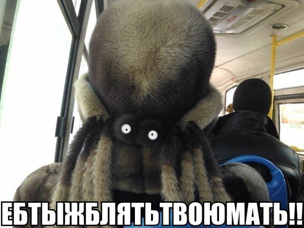 https://pbs.twimg.com/media/CUgfPuOWUAASKeL.jpg:large