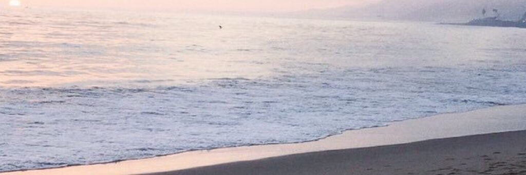 bombaflayout's tweet image. Dan and Phil layout 

@abixrobinson