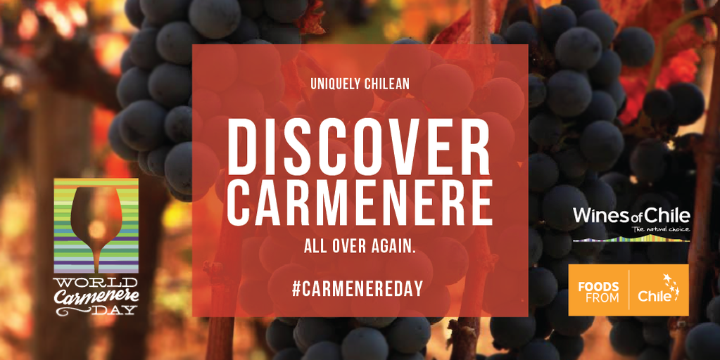 DrinkChile's tweet photo. We look forward to the #CarmenereDay celebration with you tonight at 7pm EST! @Casa_Silva @MaquisWines @VinaKoyle https://t.co/XZJXoSnaI8
