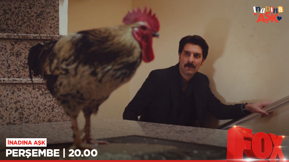 Kapıya gelen hediyeler, romantiklik anlayışımızı değiştirdi. Yeni tanıtımı izlemek için: bit.ly/1N9kLmj