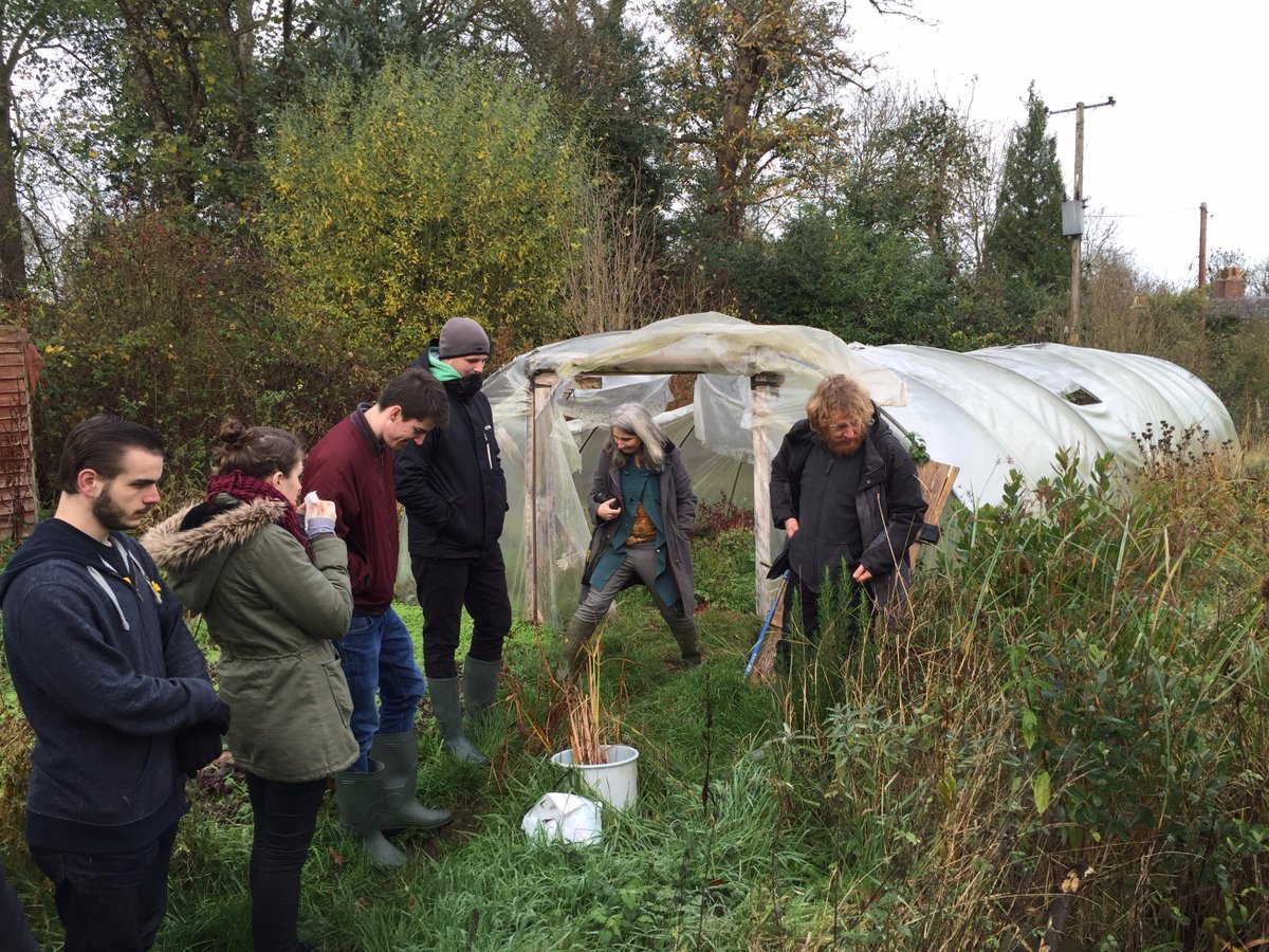 ShrewsCollChefs's tweet photo. fantastic day foraging at Berrington Hall with Stuart @ShrewsburyCol @DobsonTis #ukforaging https://t.co/Wgih0FJRdU