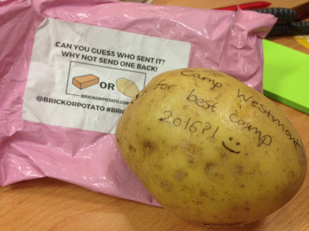 CampAmerica69's tweet photo. We got a Potato! Huge thanks to ex Camp America twins @BrickOrPotato #BrickOrPotato #iamCA https://t.co/Wjdx7MqyLT https://t.co/0kQs3Go7va