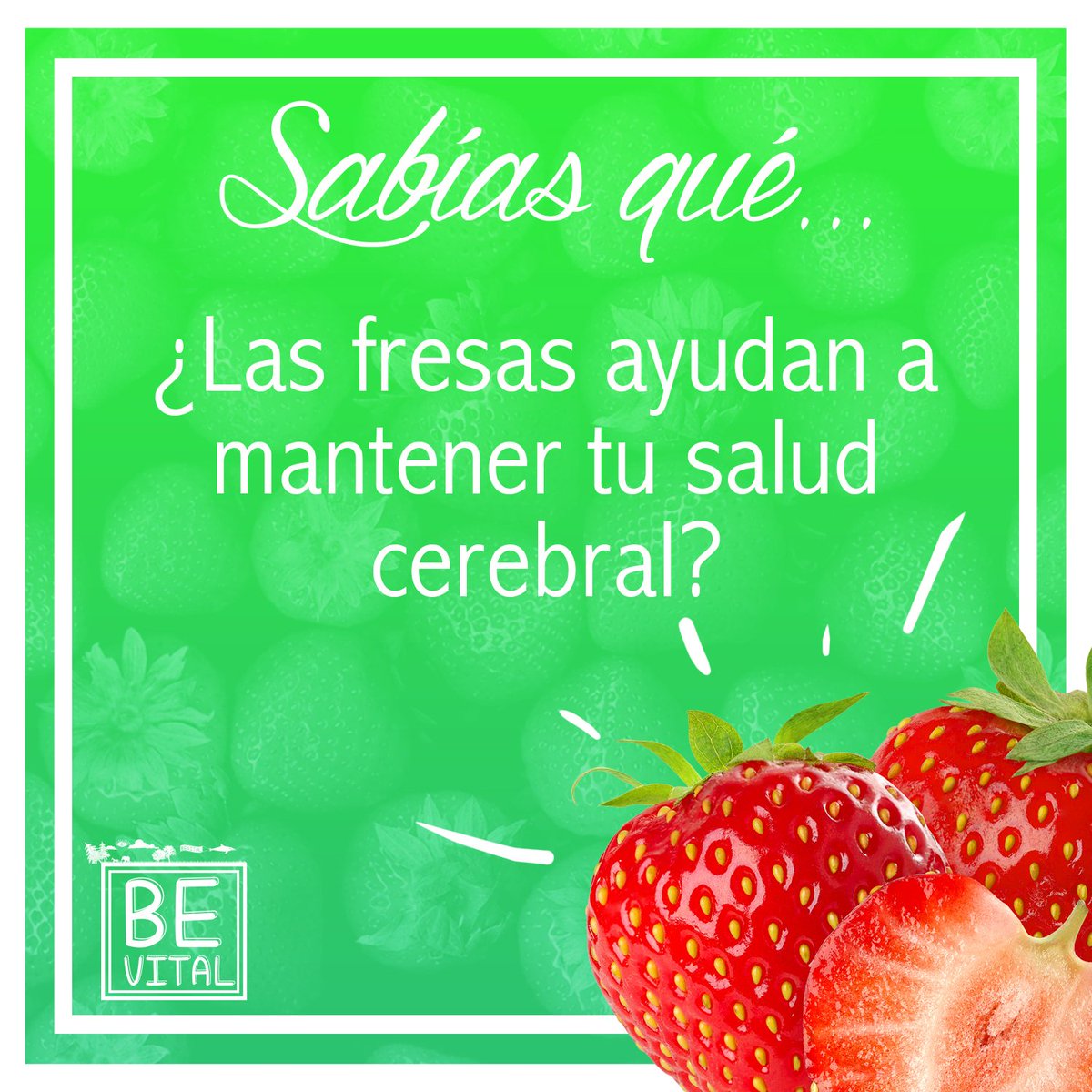 bevitalco's tweet photo. Contienen fisetina,el cual protege las neuronas de elementos tóxicos y moléculas oxidantes en el cerebro. https://t.co/7qTgzbXkj6