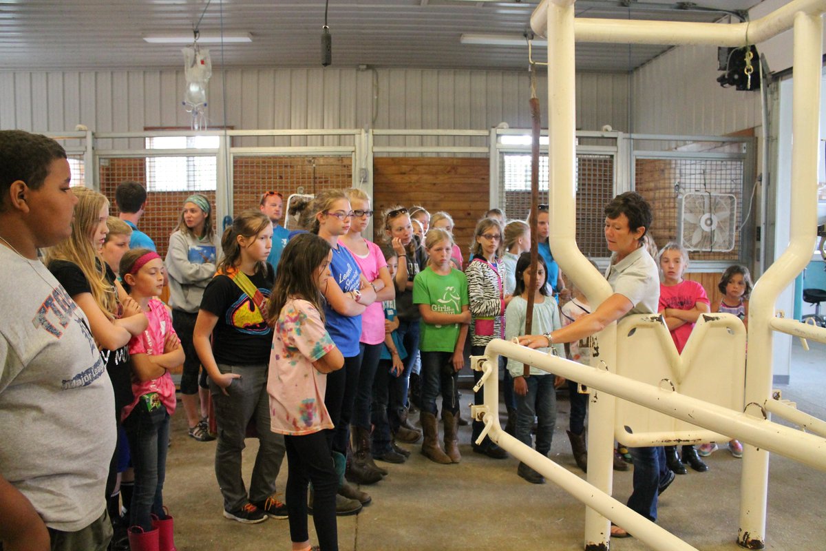 YCampManitouLin's tweet photo. Our horse campers visit the local veterinarian to learn more about horse care. 
#YCampManitouLin! https://t.co/Z3G011HRYQ