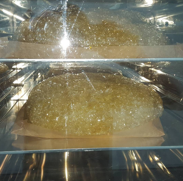 BeeHiveExtracts's tweet photo. #muffinmonday https://t.co/WkSokyn2Nu