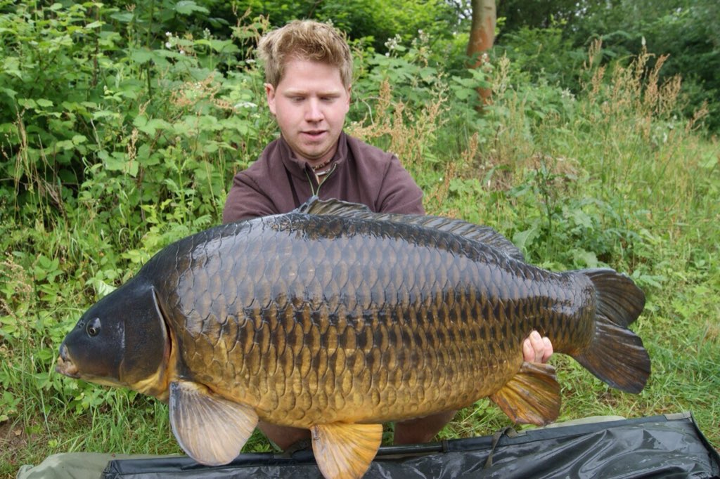 This one haunts us. The only common in the German syndicate. Christian's nemesis. #carplife