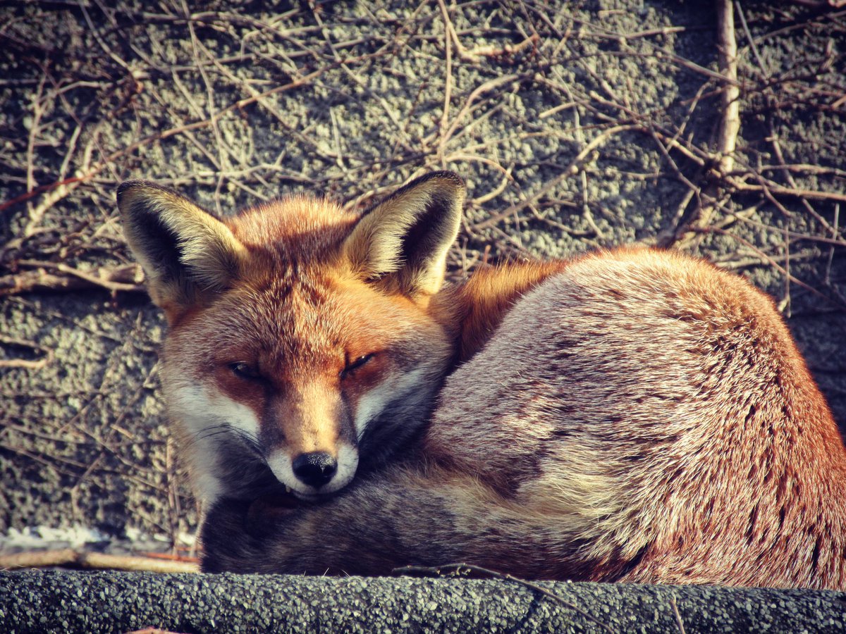 COMRADES! WE MUST ABOLISH THE CULT OF THE INDIVIDUAL DECISIVELY, ONCE AND FOR ALL