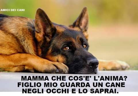_8Debora_'s tweet photo. Quant' è vero😀 https://t.co/jsWuwmHcdn