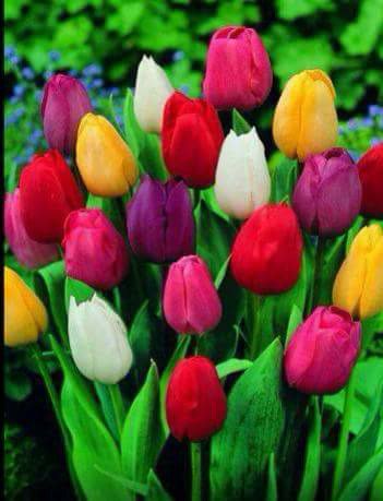 jadward1's tweet photo. Hi good morning .it's beautiful day  enjoy your day  the life is very short. https://t.co/RhY0cDbyx0