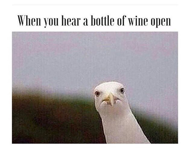 Mantha_B70's tweet image. Amen to that this evening! #annoyed #tired #needsomefun