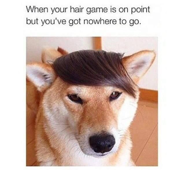 You just do your fabulous self boo!