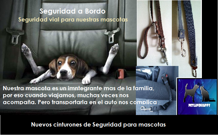 PetLand_Happy's tweet photo. Nuestras mascotas seguras en el auto... a viajar seguros!!! https://t.co/AmNOSjNto6
