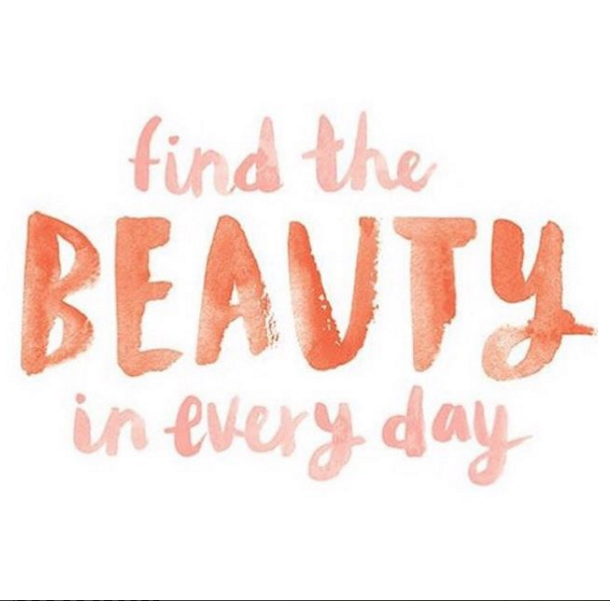 ZeeBerry's tweet photo. Even though it's Monday, it still is a beautiful day! #qotd #MondayMantra https://t.co/xCRFUgJ2T3