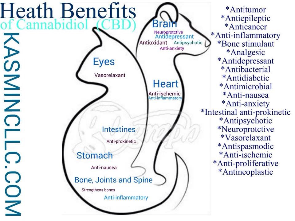 kasmincllc's tweet photo. https://t.co/EHC1bTejS9 #cbd #rich #hemp #products #people &amp; #pets #legal #cannabis #products #mmj #health #animals https://t.co/31KsSb0zz5