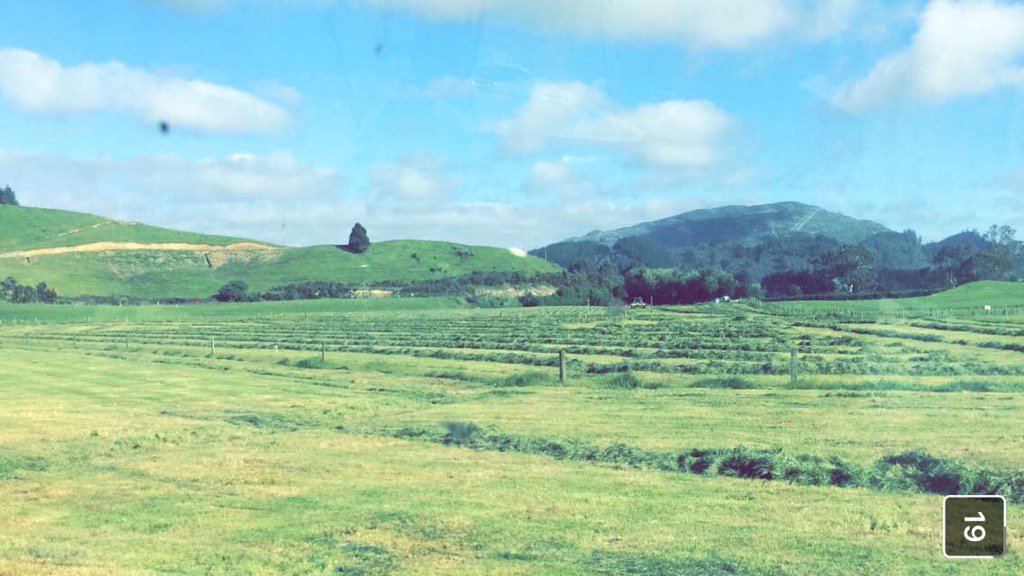 beat102103's tweet photo. Paddy took a photo of his view while listening to the #Top7at7 in NZ. Well jel😢❄️☔️ https://t.co/OtTPF1V9RJ