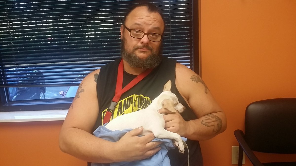 vitoandretti's tweet photo. Ok she broke her leg. Needs surgery $1200! How do i do a go fund me thing? https://t.co/oqG5OY8iNs