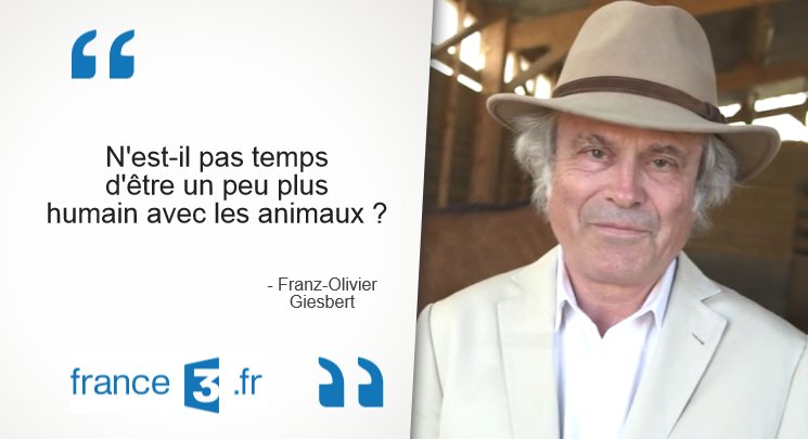 Ancien compte France 3 tweet media
