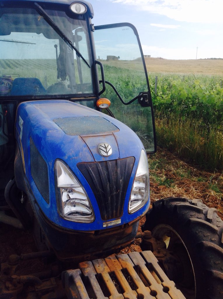 #newholland #wine #nerodavola #sicilia #italianwine #winelover #winemaker #cantina #vinoitaliano #sicilianwine