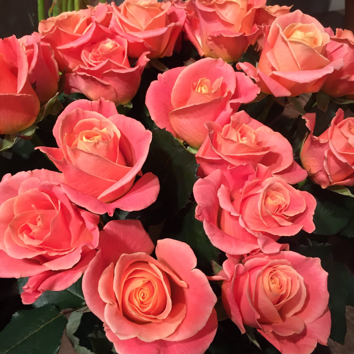 Renny & Reed tweet media