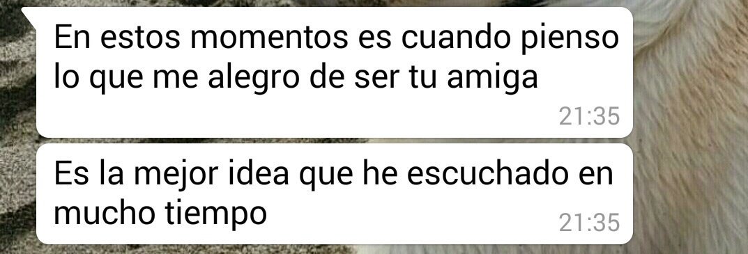 lucinusgc13's tweet photo. Da igual lo que diga, va a saber siempre de lo que estoy hablando #ConexiónDeDiosas #MeComprende https://t.co/zXC9lPz6i9