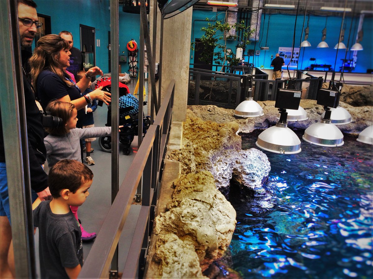 2TravelDads's tweet photo. Newc #blogpost: @GeorgiaAquarium: a complete #experience. Read our review and #traveltips https://t.co/HktaZhU6XA https://t.co/tg4f808yEy