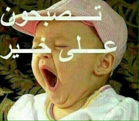 abraheem774's tweet photo. https://t.co/9kgNaK9417