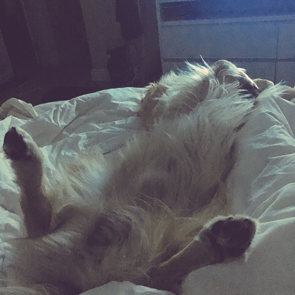 Someone is sleeping well!!markb46