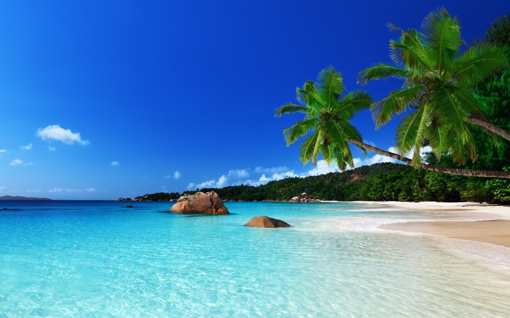 RWLfitness's tweet photo. All this cold weather is making me really want to be on holiday sat on a beach 😔💭 https://t.co/aEFK6ZNDWK