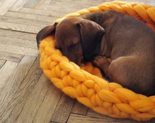 Chunky Knit Pet Beds by Anna Mo bit.ly/1lFD3Bi