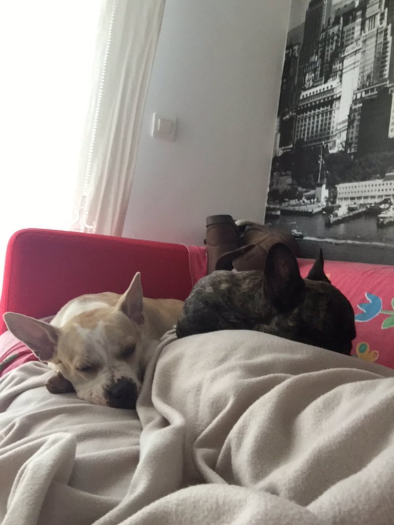 Jhessy_P's tweet photo. #MiMundoPerfectoEs cuando estoy con mi familia ❤️ https://t.co/J2MqXp6Q9h