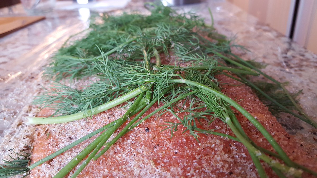 GoodTuckn's tweet photo. #GoodTuckn curing going on in time for some Thanksgiving feasting! #salmon #dill #delicious https://t.co/xqK76Zk4kr