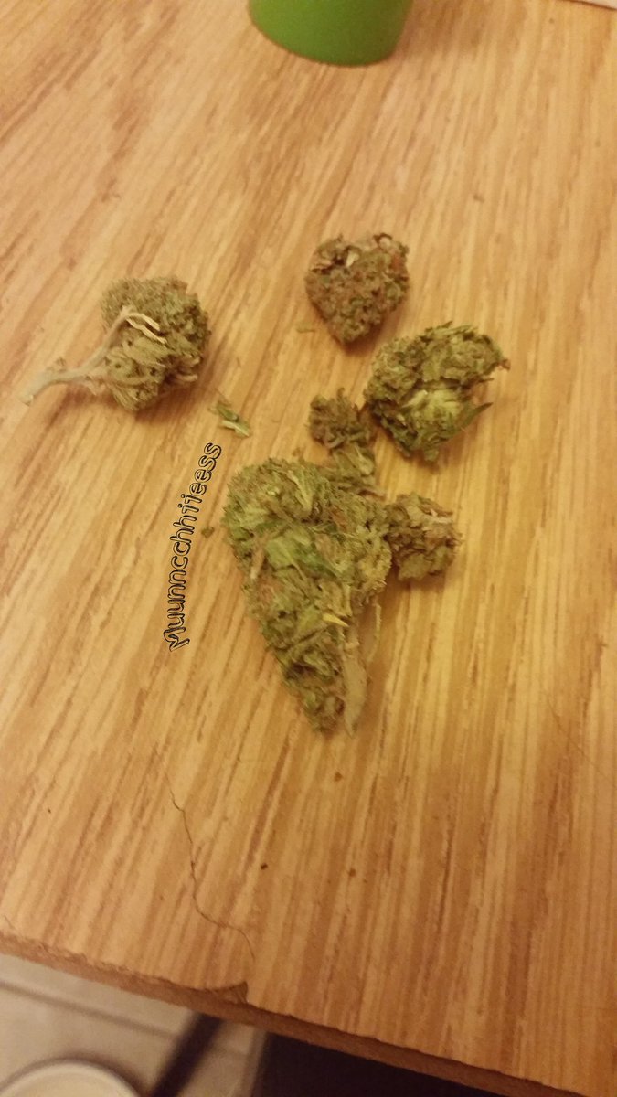 Manderss805's tweet photo. One of the bombest strains I ever had😍🔥🔥🔥 https://t.co/6qOqQIoxDx