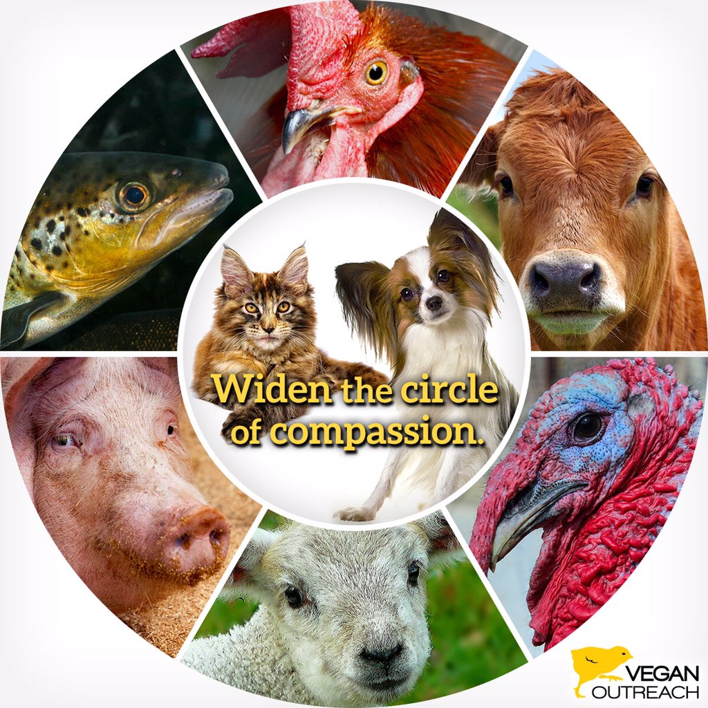 veganoutreach's tweet photo. Widen your circle of compassion to help ALL animals! #vegan https://t.co/5XLKg4S5oc