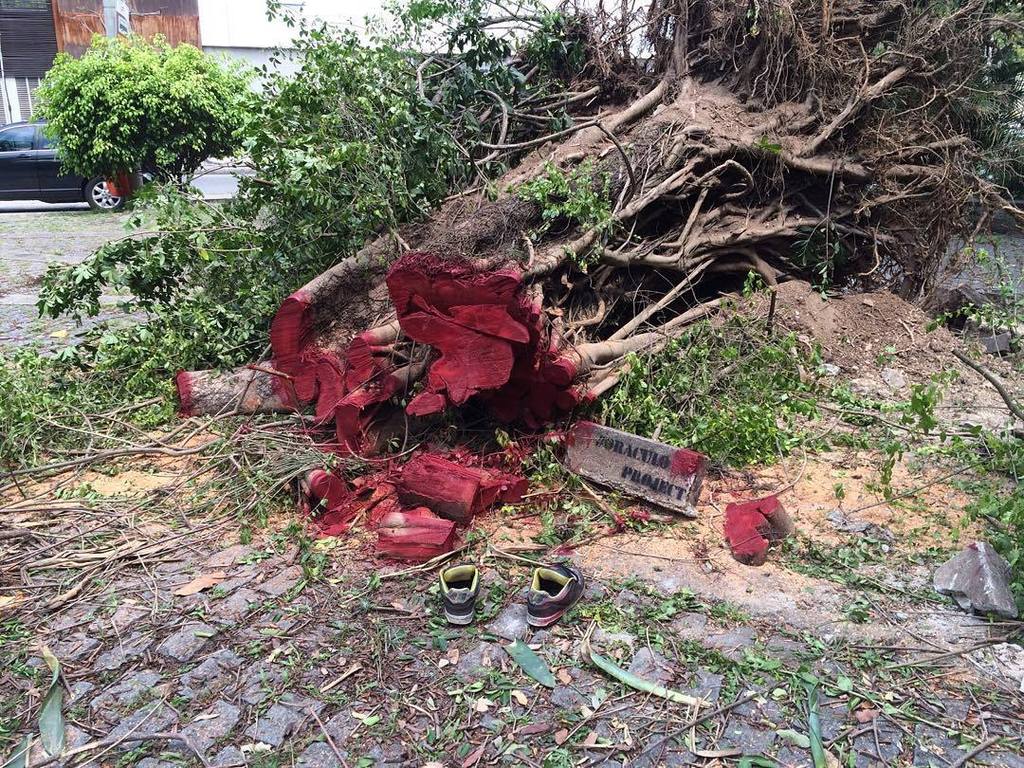 StArtEverywhere's tweet photo. #oraculoproject #contemporaryart #artecontemporanea #manifesto #streetart #urbanart #deadtrees #sadtrees #choppedtr… https://t.co/NGdvOdiTEX